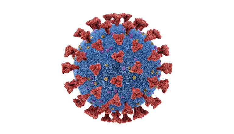 Coronavirus