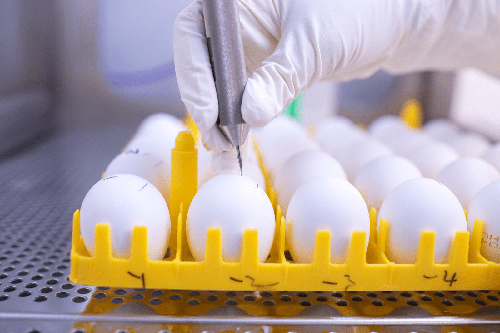 20180409-10_UK_LVP_Seqirus_0309 1600x