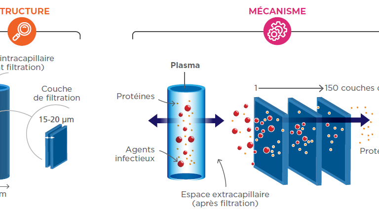 Nanofiltration pour la sécurisation virale des MDP