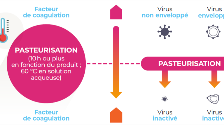 Pasteurisation pour la sécurisation virale des MDP