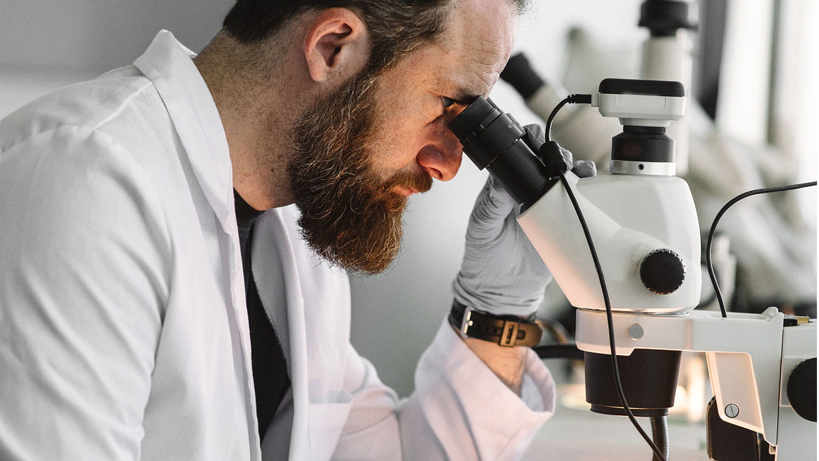 Homme regardant dans le microscope