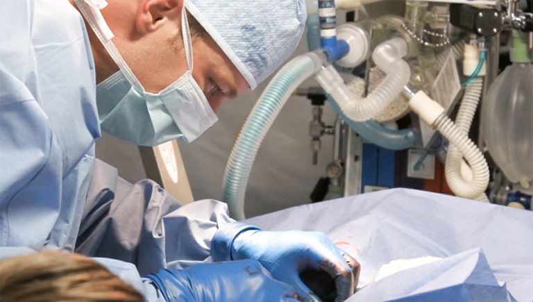 Transplantation